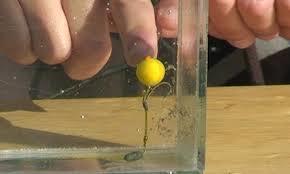 teste..idei..pareri..etc - images-2.jpg